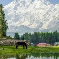 Fairy Meadows