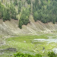 Jaba Meadows Hiking