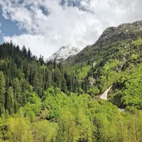 Camping (Kumrat Valley)
